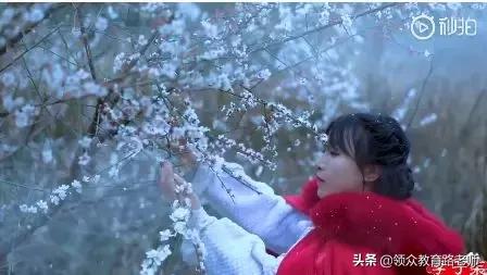 李子柒早期作品村姑女汉子形象,最美网红李子柒