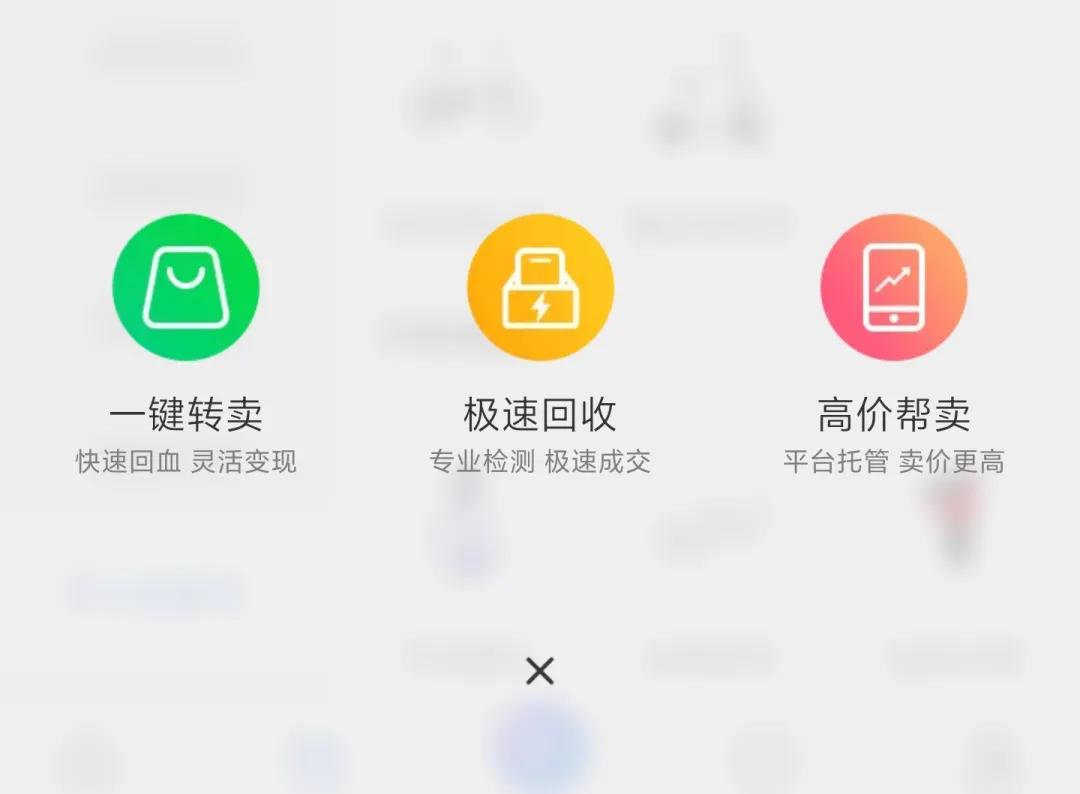 鲸置和闲鱼,闲鱼体验完毕