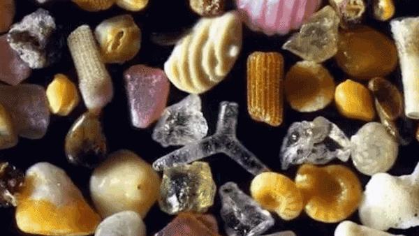 可随身携带的儿童显微镜,kenko儿童显微镜