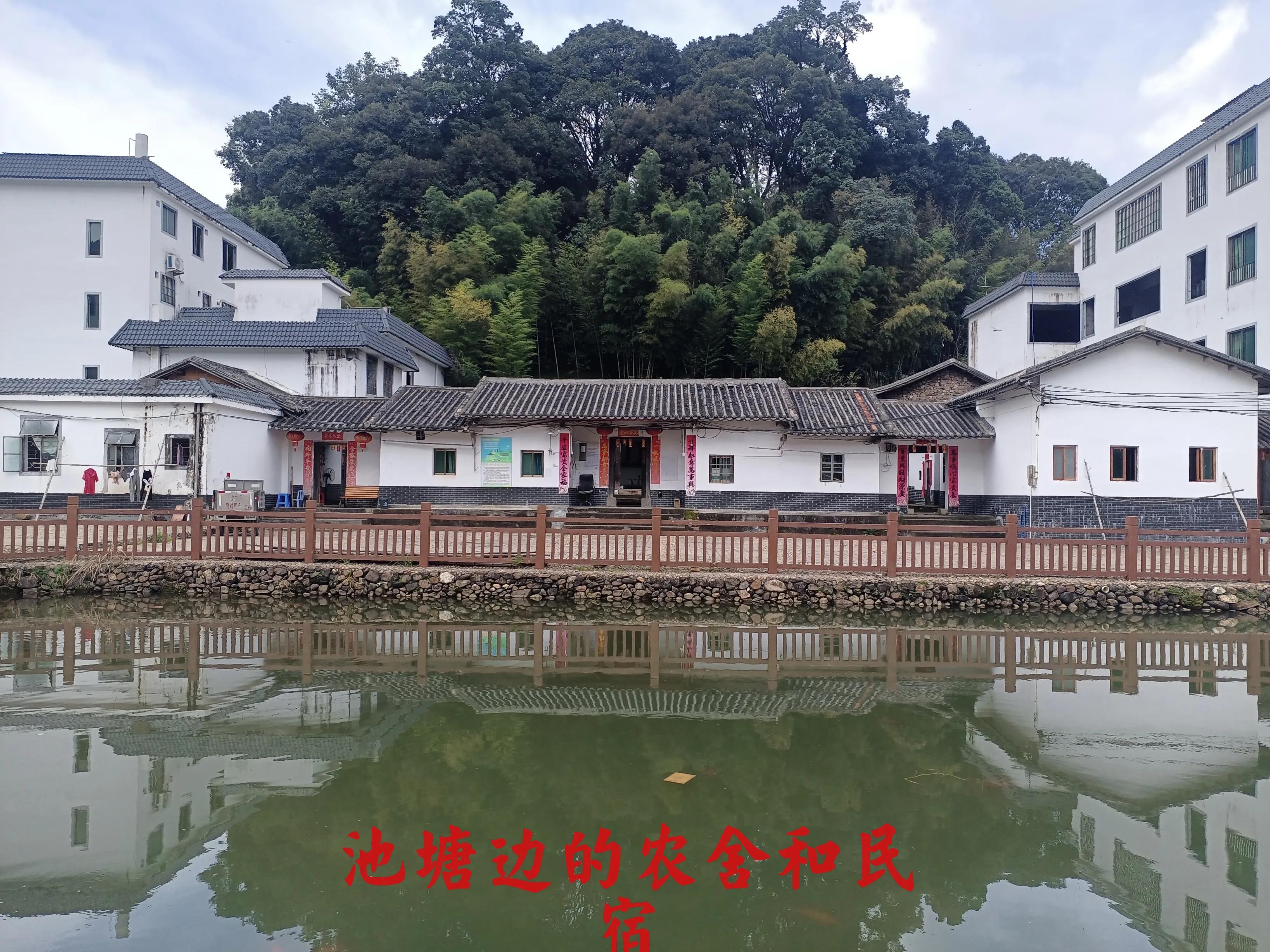 乘公交去乡下:广州海拔最高的村落-阿婆六村