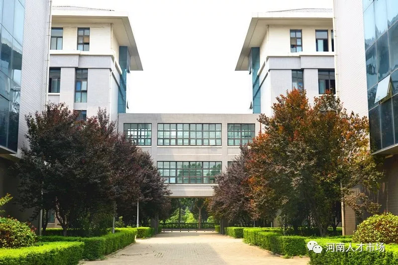 郑州财经学院辅导员招聘,郑州月薪1万有五险一金