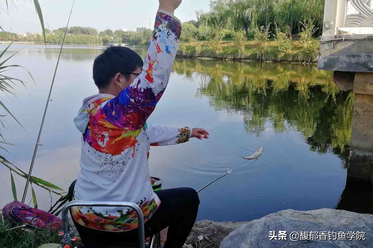 钓鱼饵料味型出错,钓鱼饵料原则及使用方法