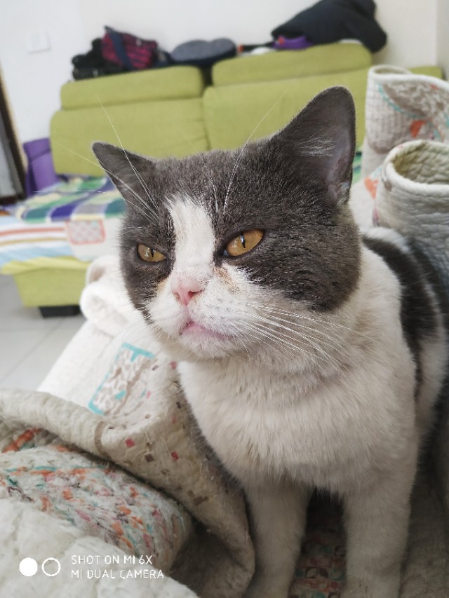 拖把桶改造钓鱼神器,废旧塑料桶改拖把池