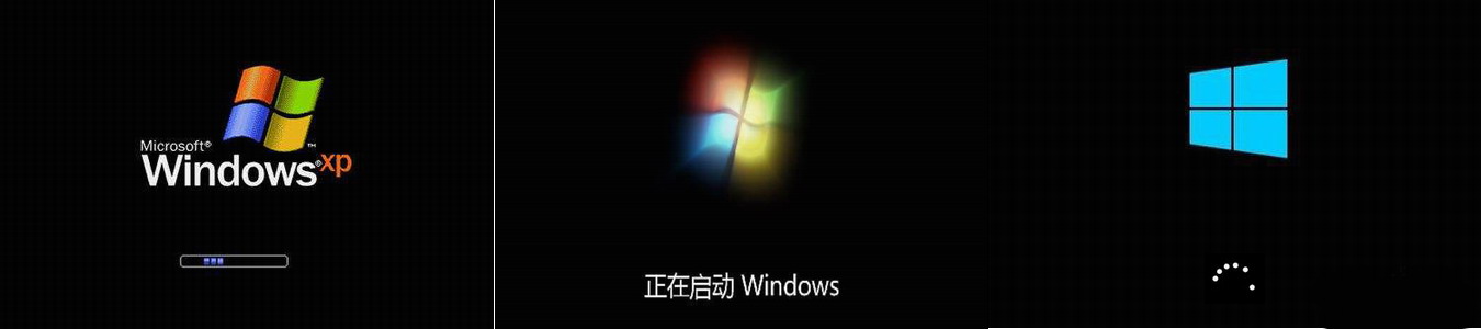 打不死的小强wwe,windowsxp落后不
