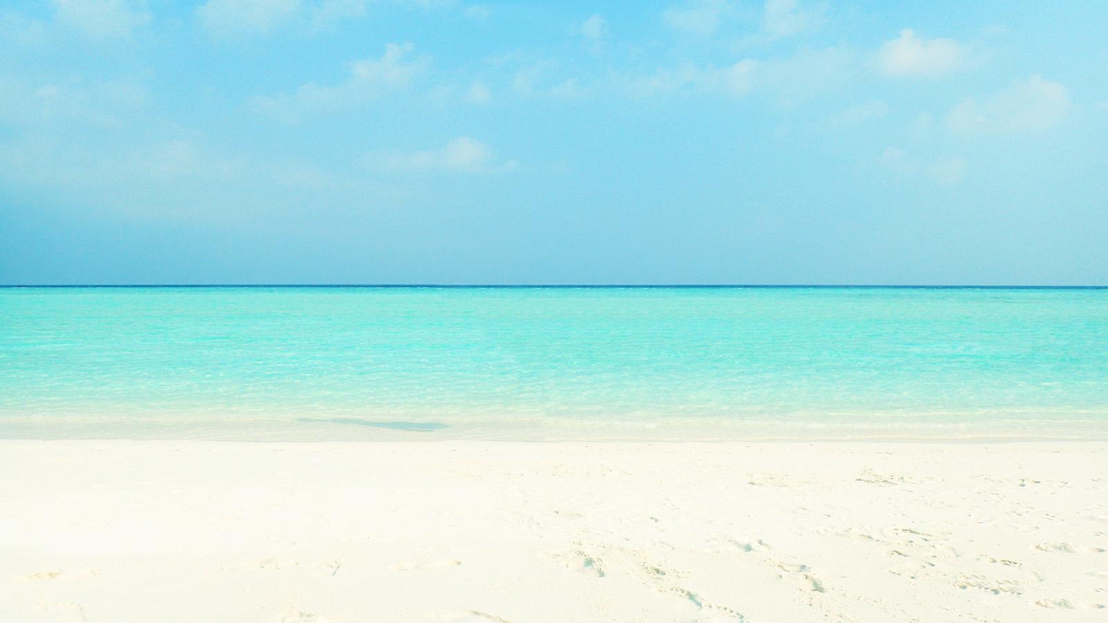 小学语文知识点大全关联词训练,四年级句型转换专项训练关联词语