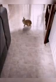 怎么幽默跟老板说报销,提了好多报销流程幽默调侃