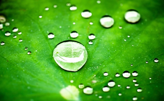 为什么铁不能浮在水面,铁轮船为什么能浮在水面