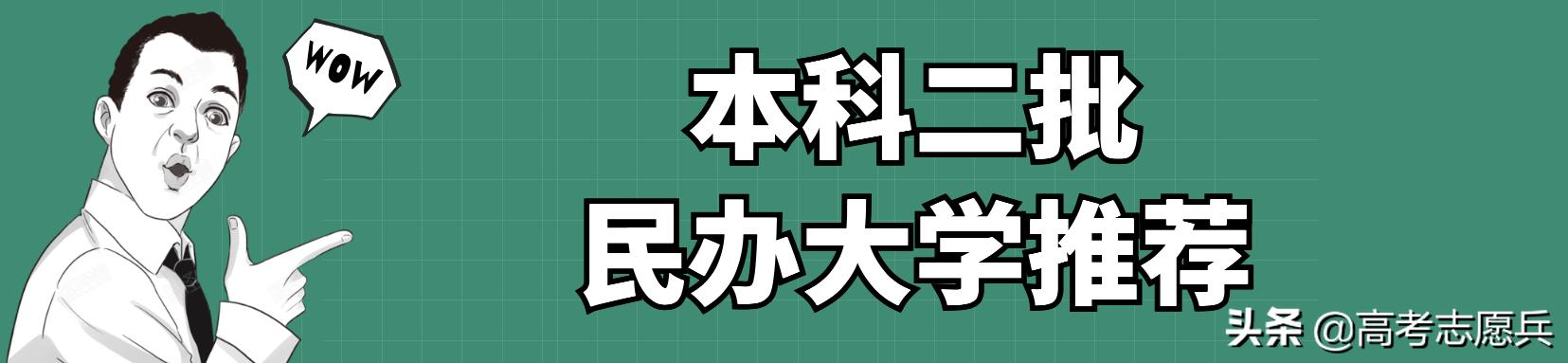 本科二批民办大学推荐，这些民办大学都有国家级一流专业