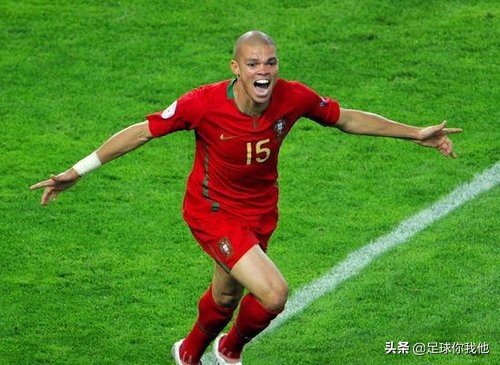 绰号和动物有关的巴西球星,巴西足球名将绰号小鸟