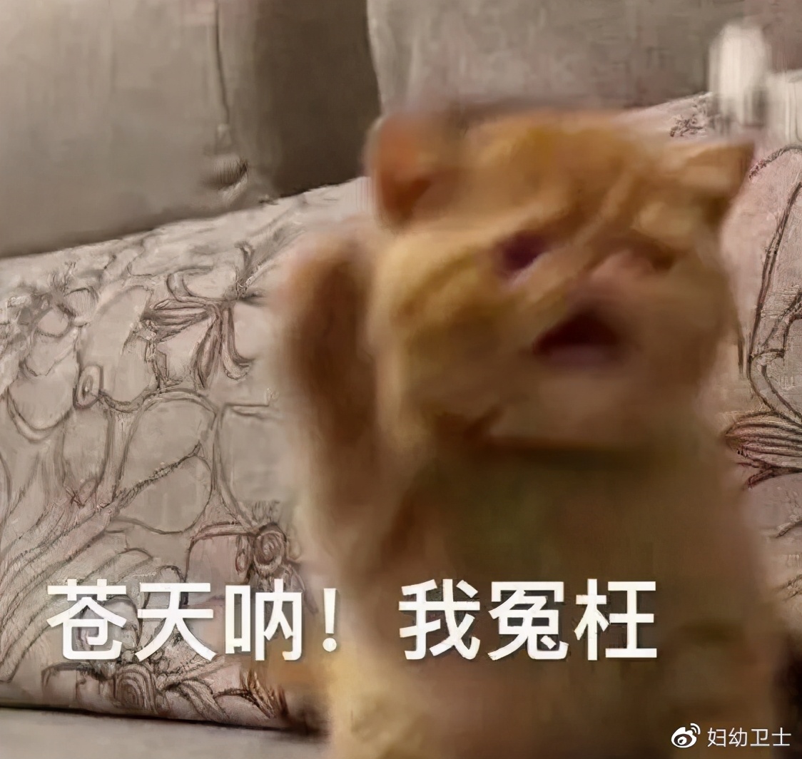 支原体感染治疗期间怀孕了怎么办,支原体感染在备孕中一定要治好吗