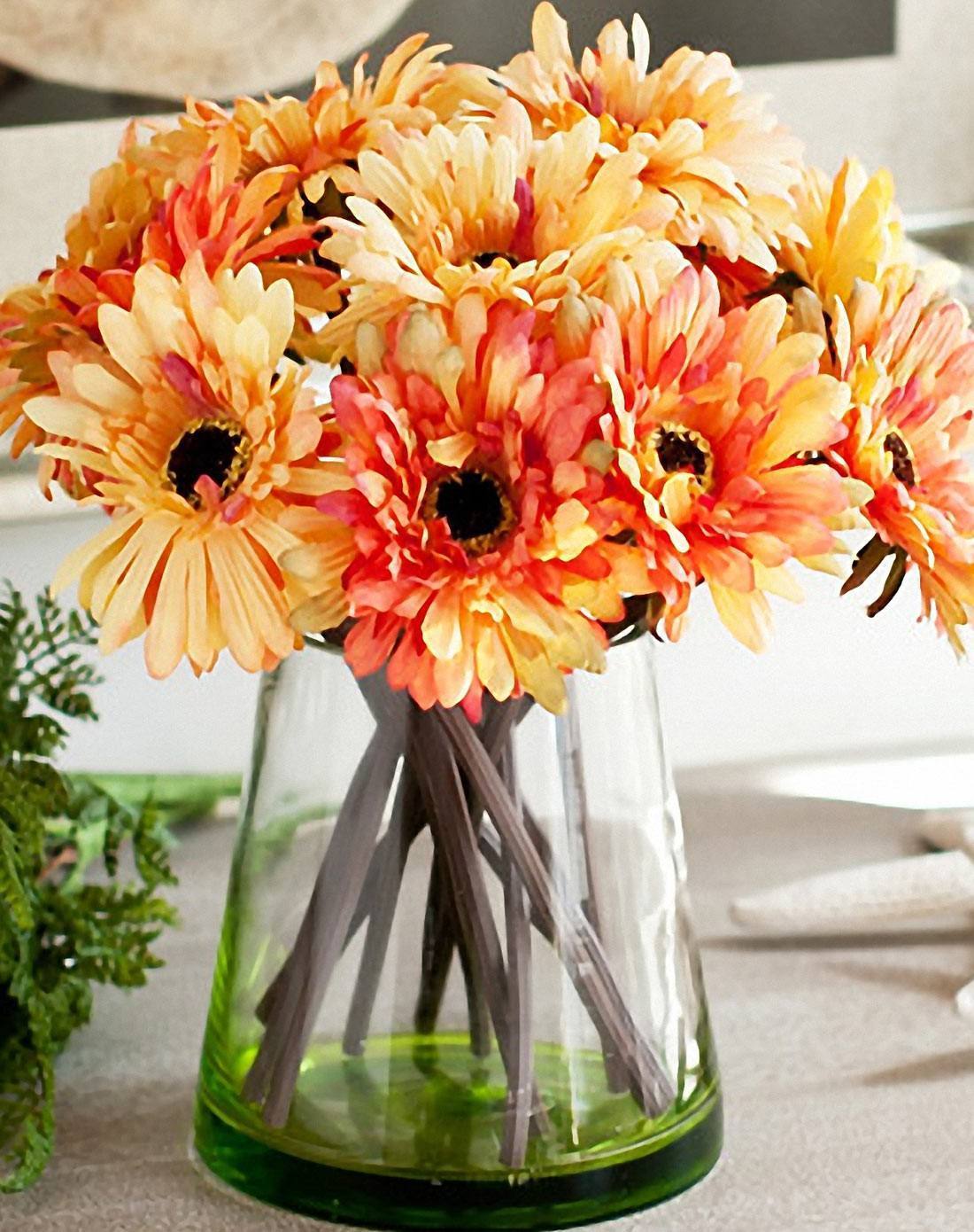 迷你向日葵适合黄土种,向日葵盆栽品种推荐