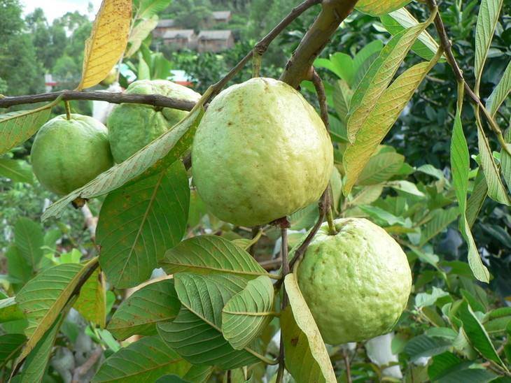 隐藏在英德一座微派风格的酒店—一幅灵动与纸上的古邑国画