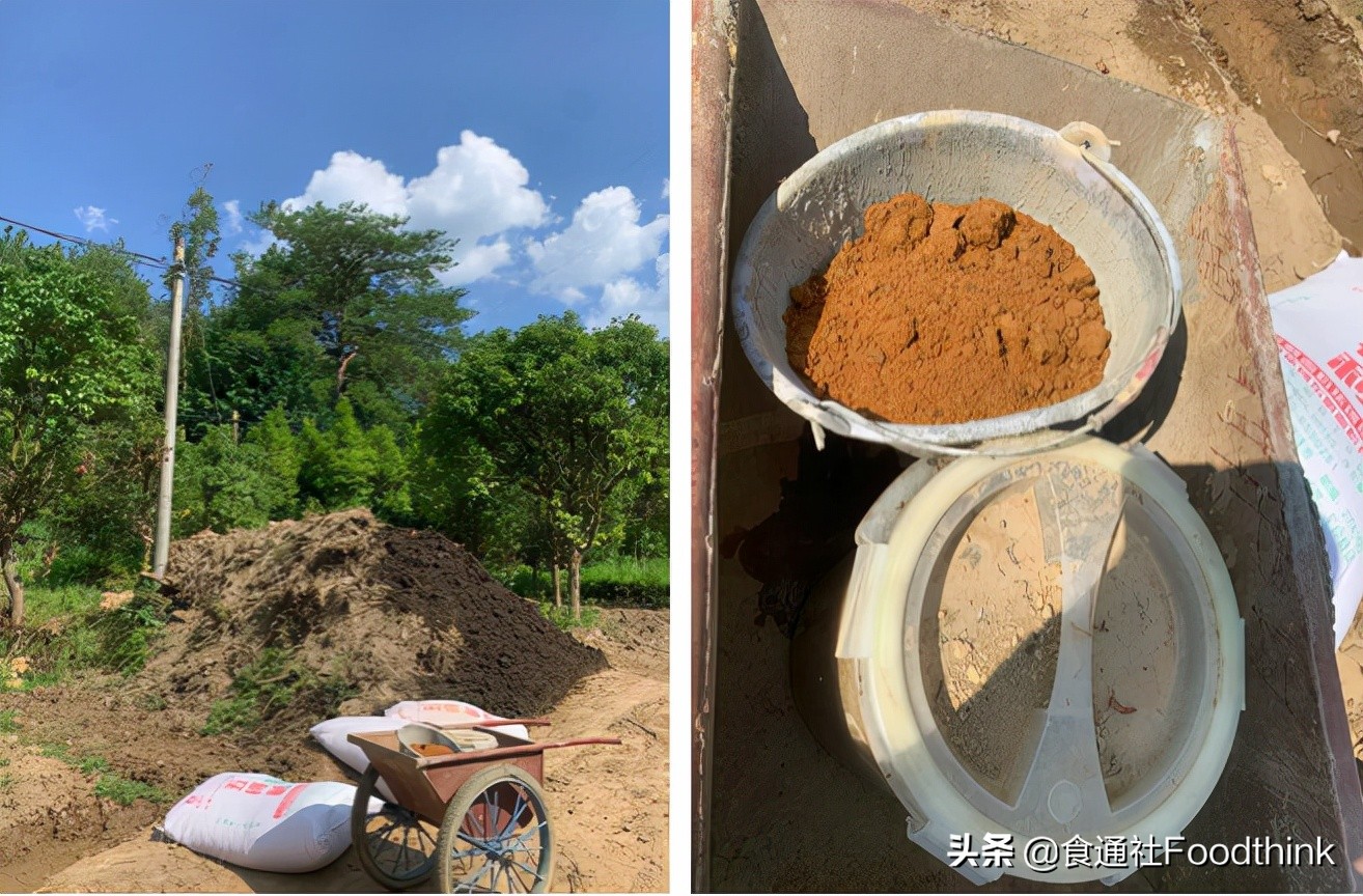 卫生纸,真的卫生吗?世界厕所日,重新理解“道在屎溺”