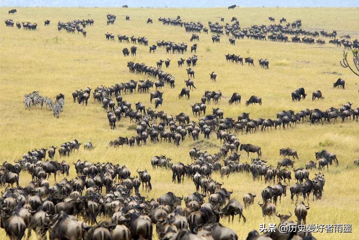 辽国的重要历史事件,历史故事辽史