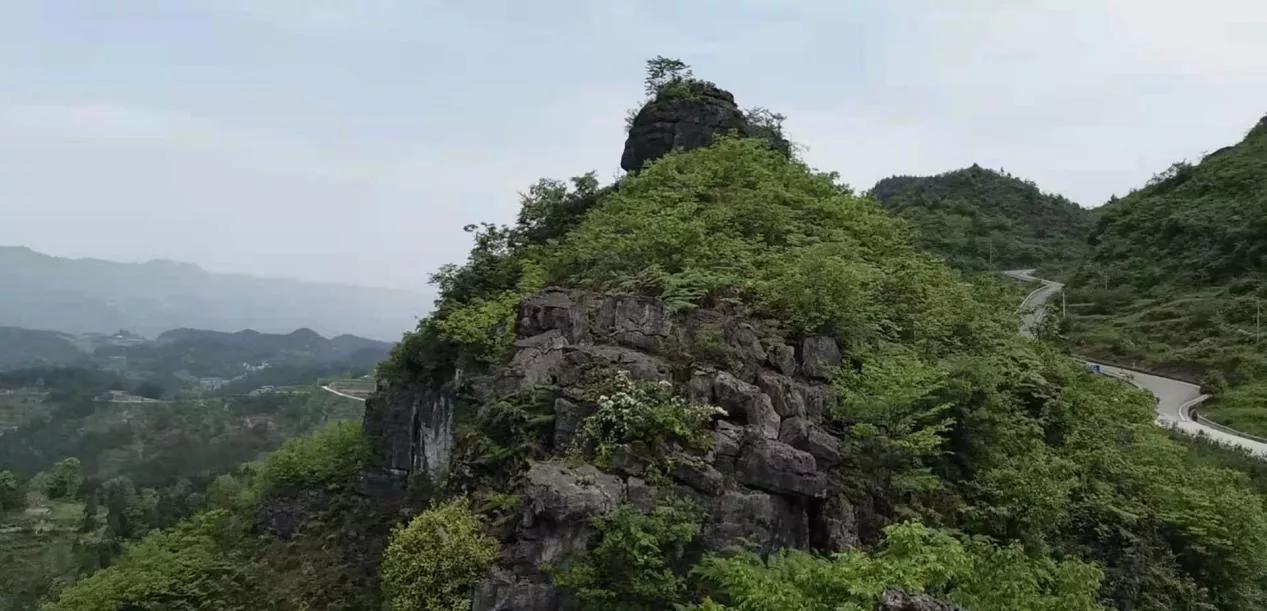 挖掘历史文化资源打造地方特色,挖掘黄河文化讲好故事