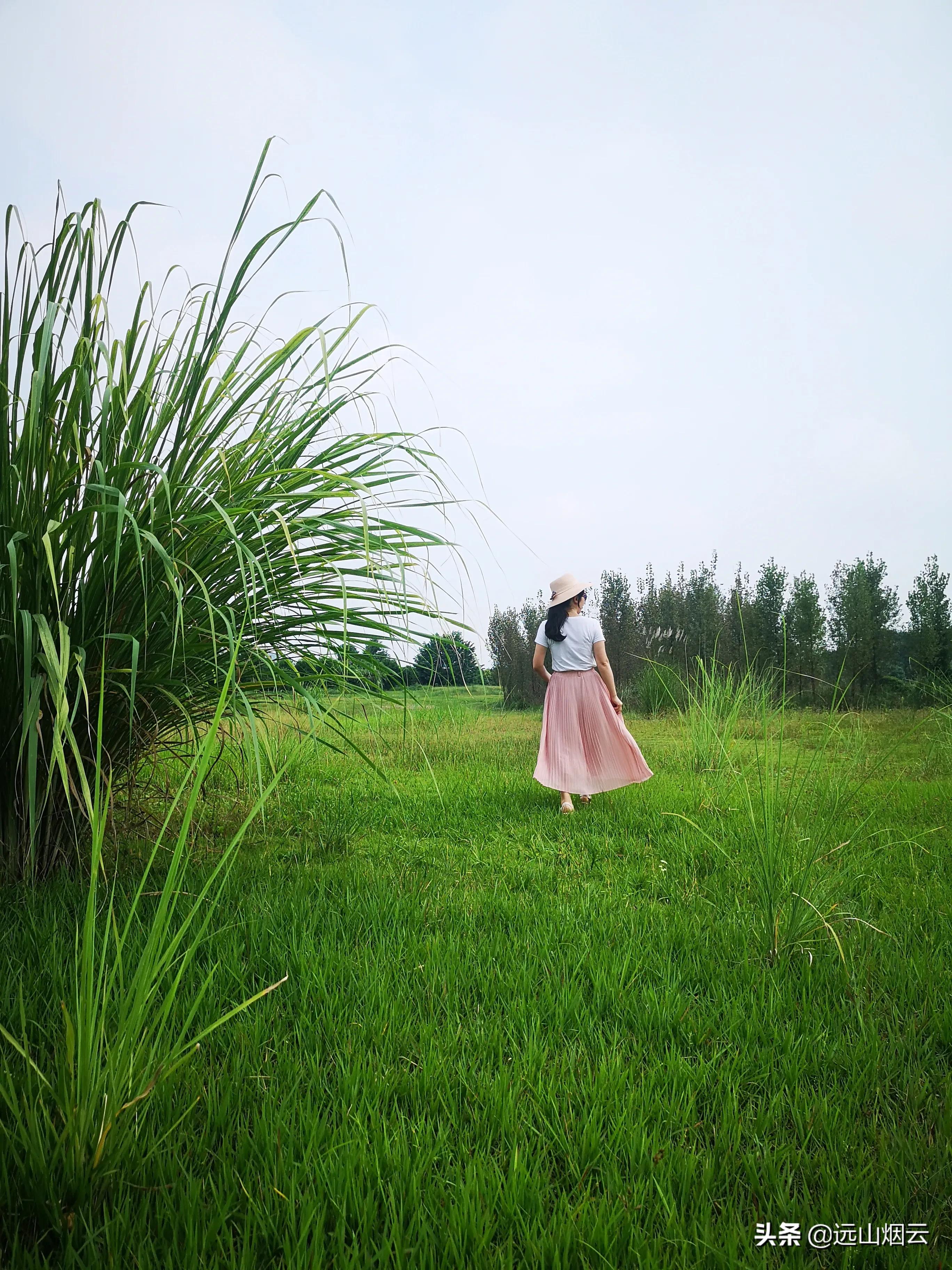 自拍杆拍摄使用技巧和方法,自拍杆拍照技巧和方法