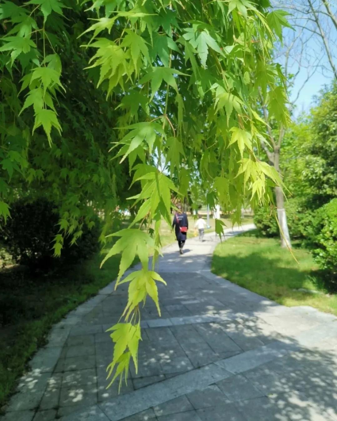 妻子这样做对吗,妻子这样做你觉得对吗