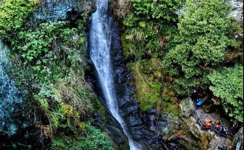诗意人生不负青春的诗句,诗意深秋不负光阴不负卿