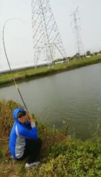 尚艺东美新秀鲤,尚艺东美秀作鲤测评