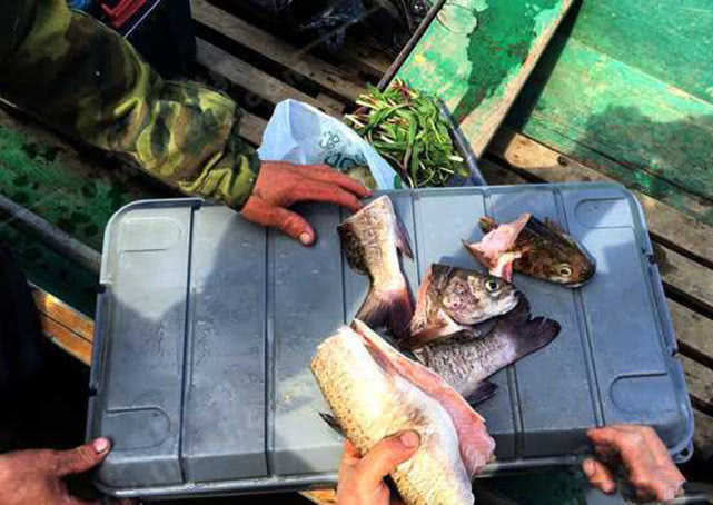 俄罗斯适合什么方法钓鱼,俄罗斯人是如何捕鱼的