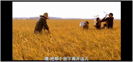 韩国真实改编案件历时33年告破,韩国真实事件改编的案件