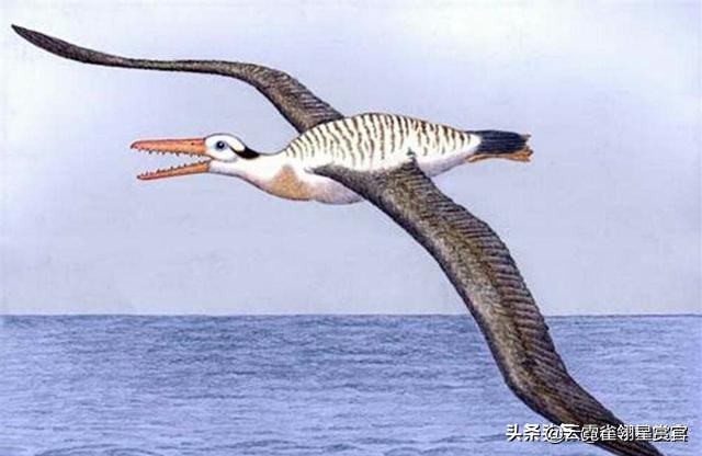史前时期不会飞的巨鸟,十大最可怕巨型恐龙
