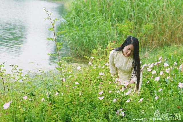 大美新蔡生态水城,大美新蔡等你来