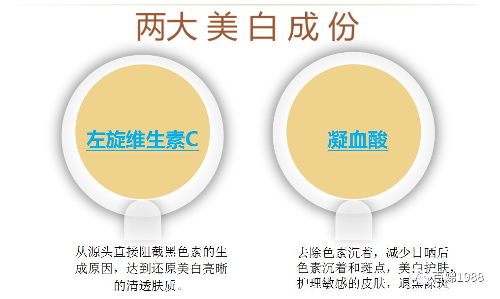 *褐斑黄**,你真正了解多少?碧芮斯带你真正了解“它”