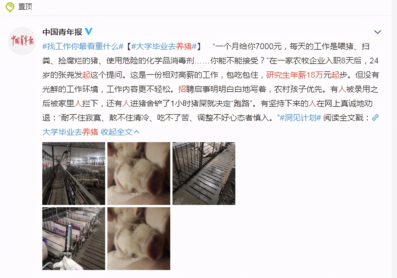 养猪场招博士生,养猪场硕士招工