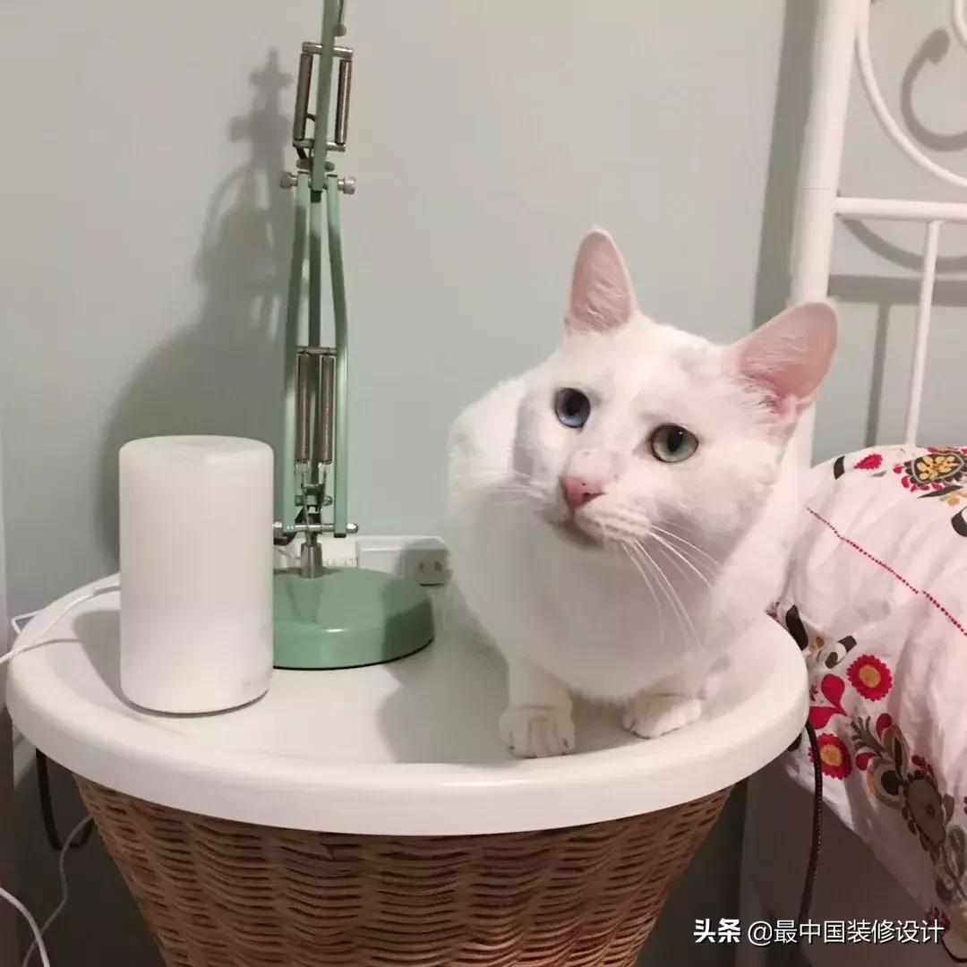 硬装只花5万多,硬装只花10万装出来的家