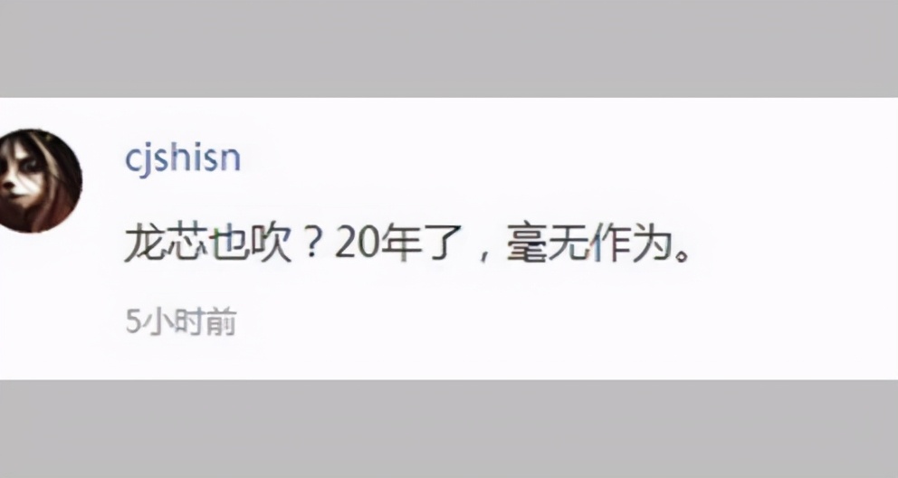 网友:龙芯20年毫无作为,那真实的中国龙芯到底怎么样?