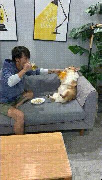 村民建房的风水,农村村长家的房子都是什么样