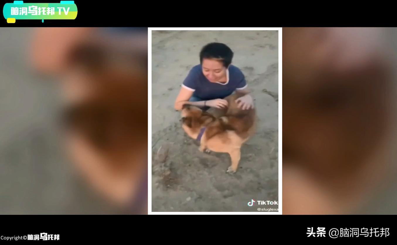 一款不该*载下**的超邪门手机APP，用意念连接现实后玩家有惊人发现