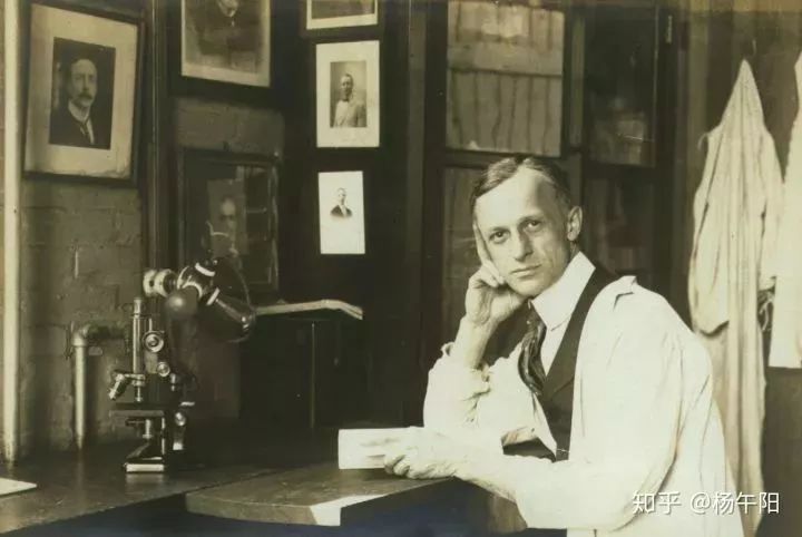 为什么医院叫神经外科,为什么神经外科医生都建议做手术