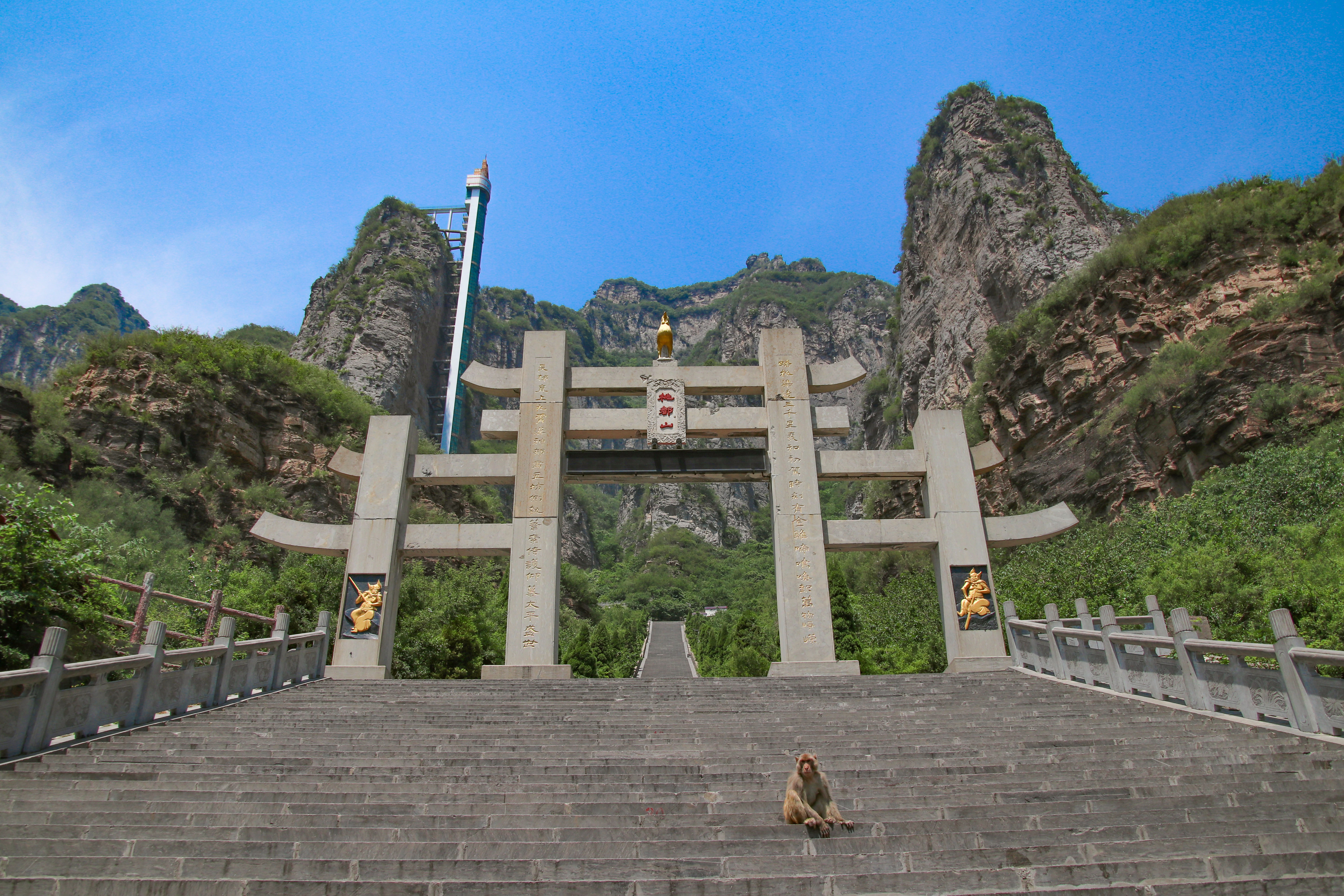 遇见不一样的济源：王屋山赏千年银杏，五龙口观太行猕猴