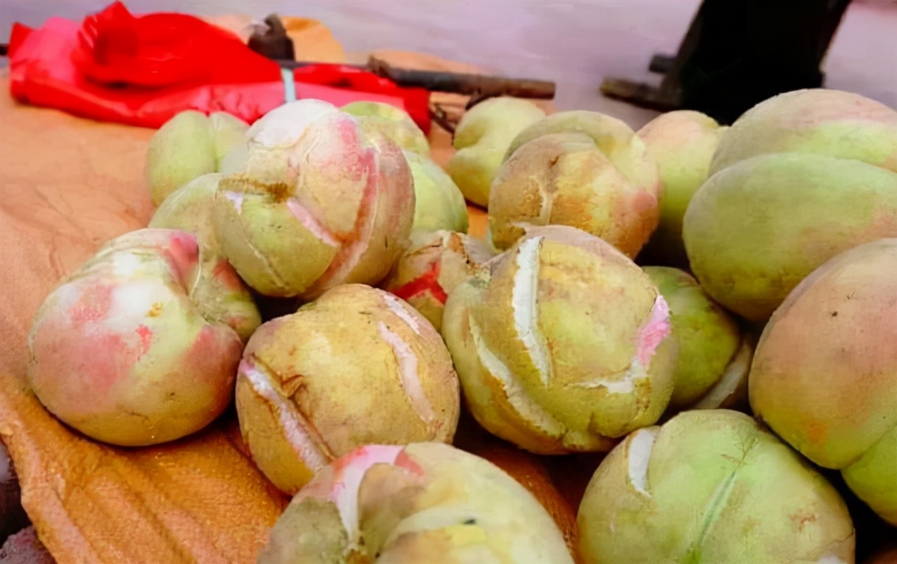 真是意外，坏果子也能走红，10元/斤，商贩在抢货