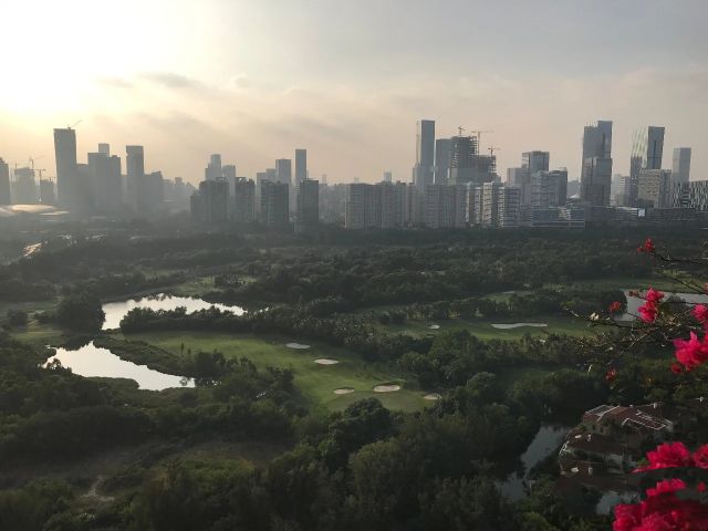 华侨城红树西岸房价,华侨城深度解析