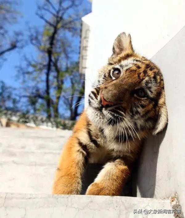 河南部分高校寒假将提前,河南你早