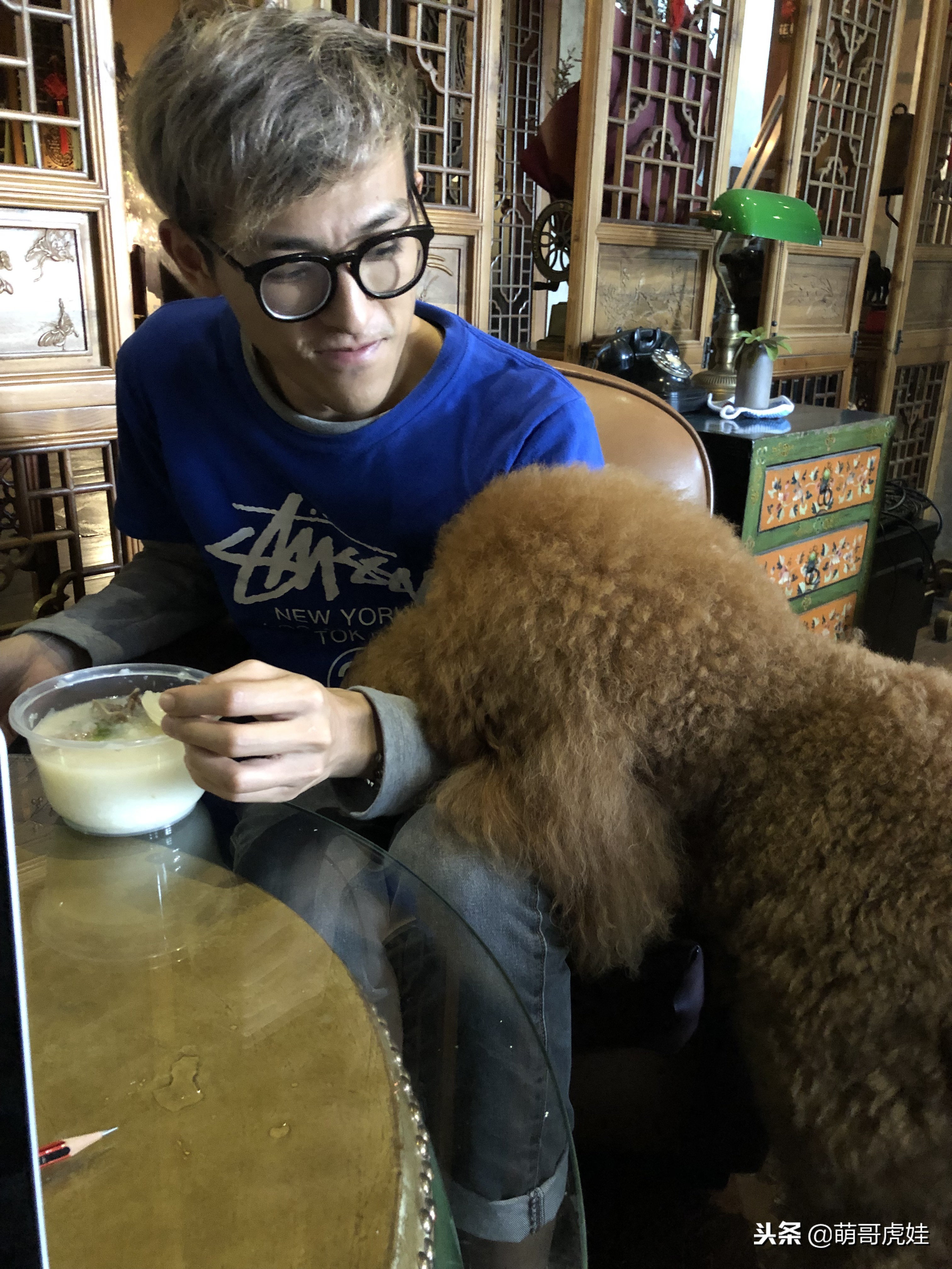 自从养了一只狗偷偷吃东西,自从养了狗偷吃东西都得偷偷摸摸