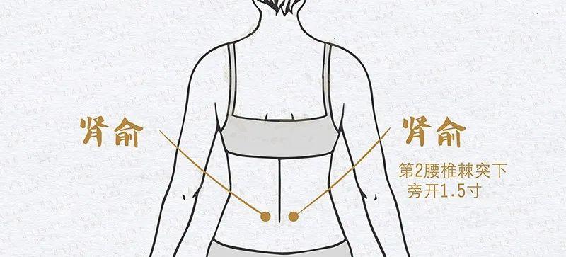 病后虚弱心悸无力怎么调理,突然心慌手抖身体无力出虚汗中医