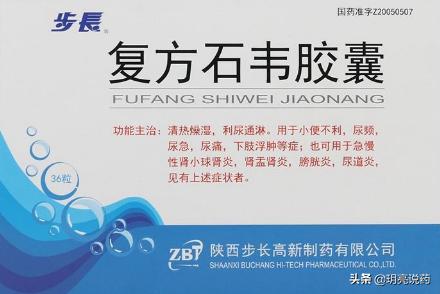 慢性肾病早期吃什么治肾的药好,慢性肾炎肾功能损害吃啥中成药