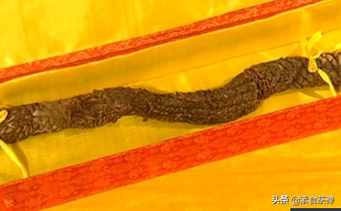 沙漠人参肉苁蓉哪里的最好,肉苁蓉生长环境与沙漠优势