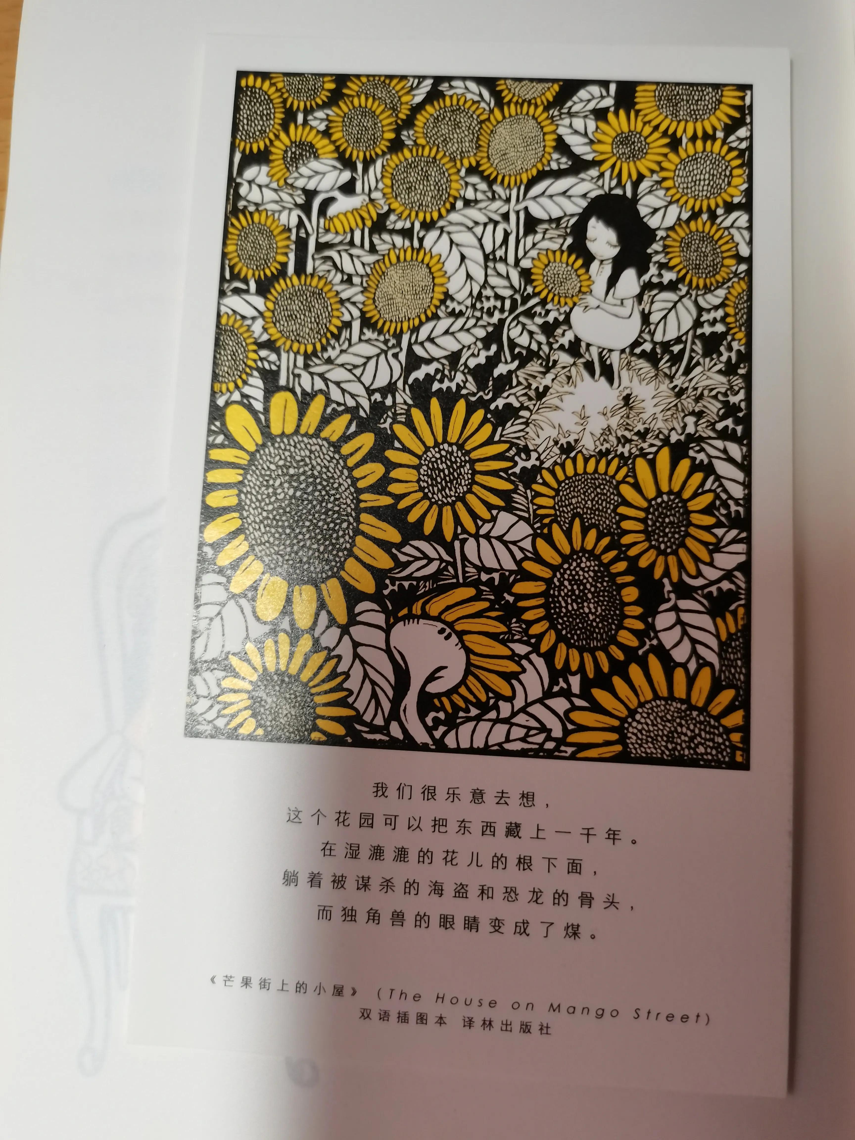 芒果街上的小屋优美书评,芒果街上的小屋中英文书籍