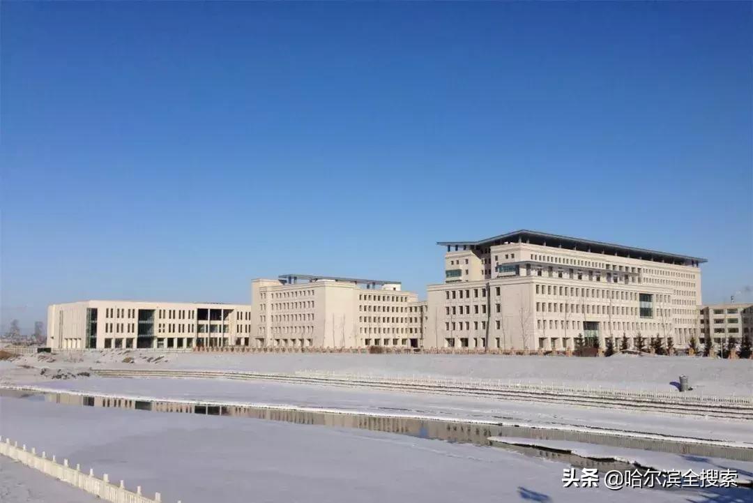 来黑龙江旅游的你都吃了啥,来哈尔滨旅游怎么点菜