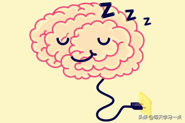 睡太久如何快速唤醒大脑,早上唤醒大脑的方法