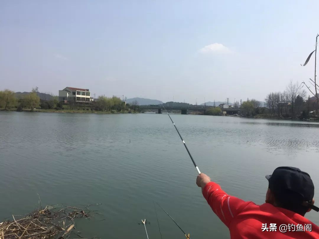 新手钓鱼入门基本装备推荐,新手钓鱼买钓具