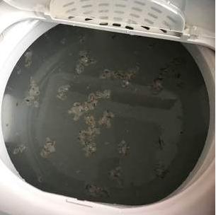 租房白墙脏了怎么清洁,洁癖打扫家里卫生小妙招