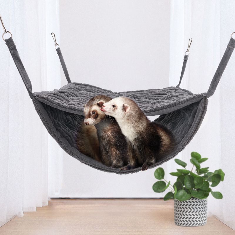 黄鼠狼黄大仙的视频,黄鼠狼捕捉黄大仙