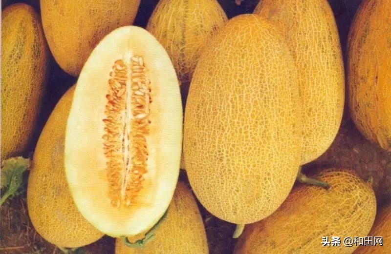 和田最好吃的在哪,和田好吃的都在什么地方