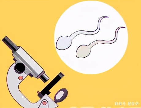 100个精子有20个正常精子有问题吗,严重少精子症只有十几个精子